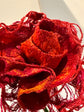 Rosalia