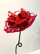 Rosalia