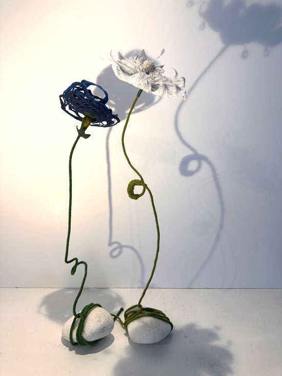 Delphine