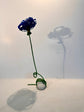 Delphine  H 37cm  W 12cm