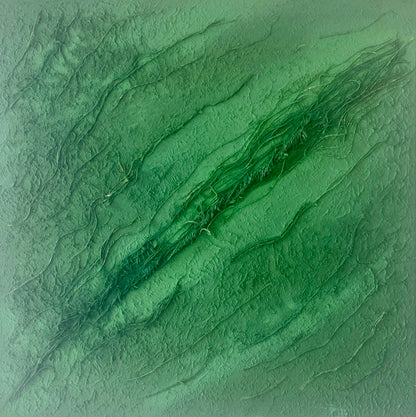 Monochrome abstract artwork in dark green, reminds of the earth, a lot of texture, pure natural pigment. inspiration from nature, patterns and structures, great in a ultra modern home, minimalist art, deep green colour ,warm feeling, bold statement in any modern home. This abstract artwork is ready to hang.