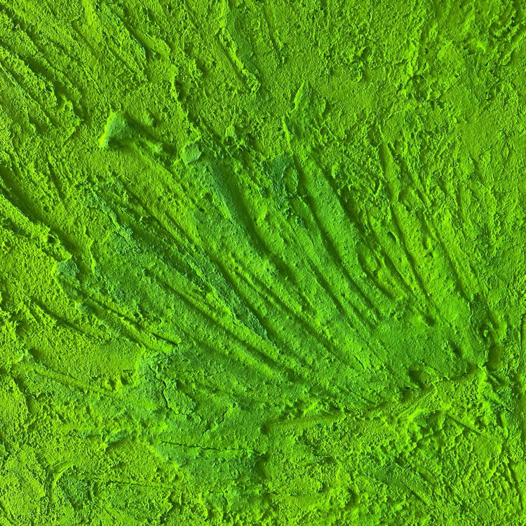 Monochrome abstract artwork in bright green, with a lot of structure made with a mixture of pure natural pigment. nature inspired art. great in a ultra modern home, has a minimalist feeling, bright coloured art that will make a bold statement. Ready to hang, shipped worldwide.